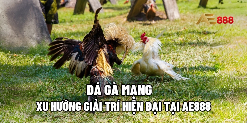 đá gà mạng