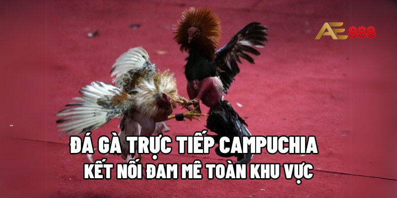 đá gà trực tiếp Campuchia