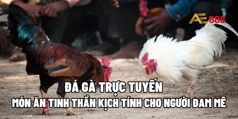 Đá gà trực tuyến
